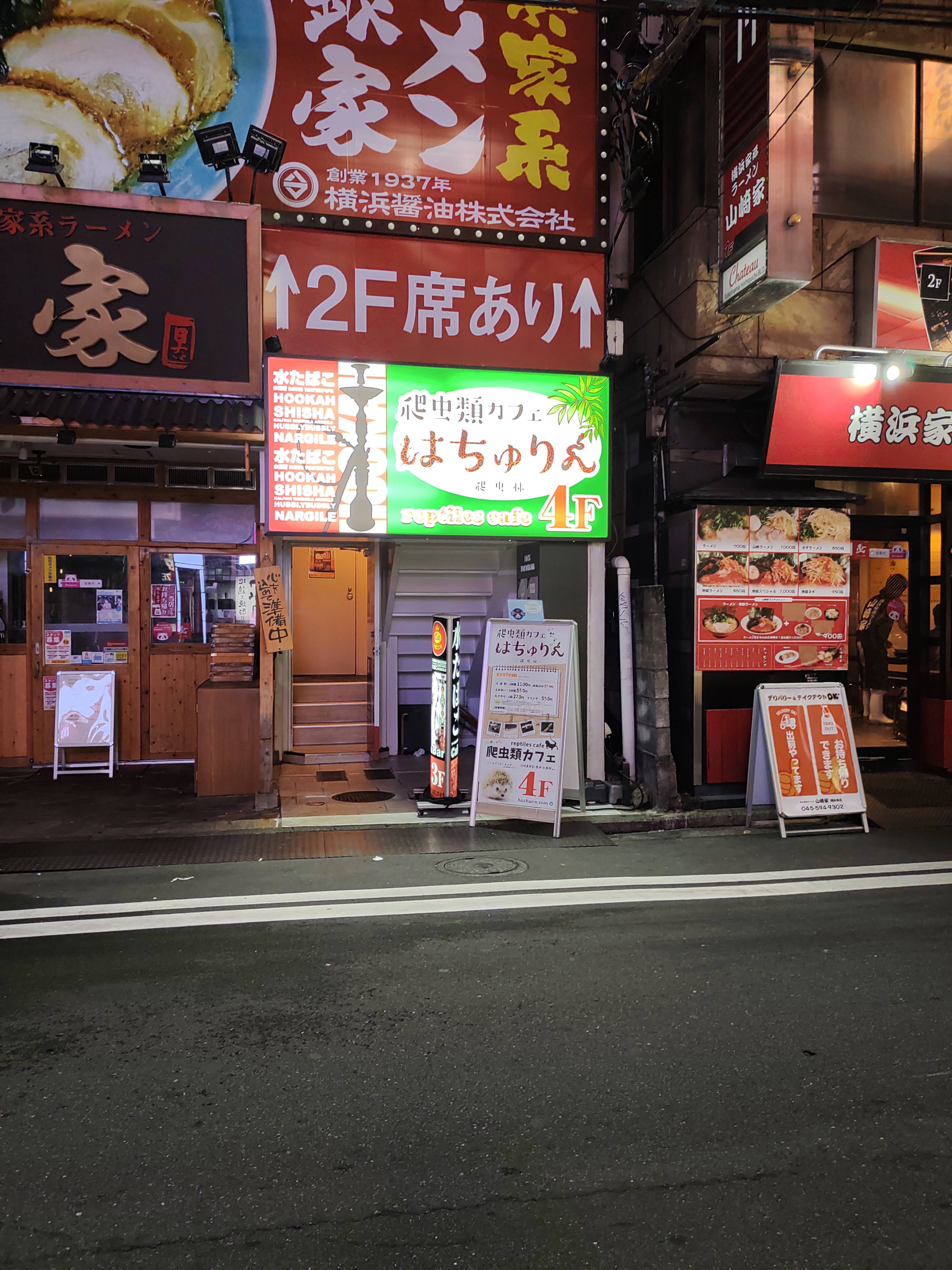 爬虫類カフェ はちゅりん